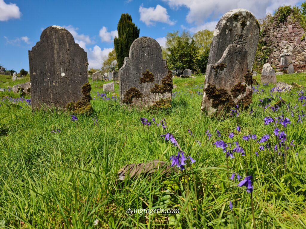 Moss covered headstones in a field of grass and bluebells