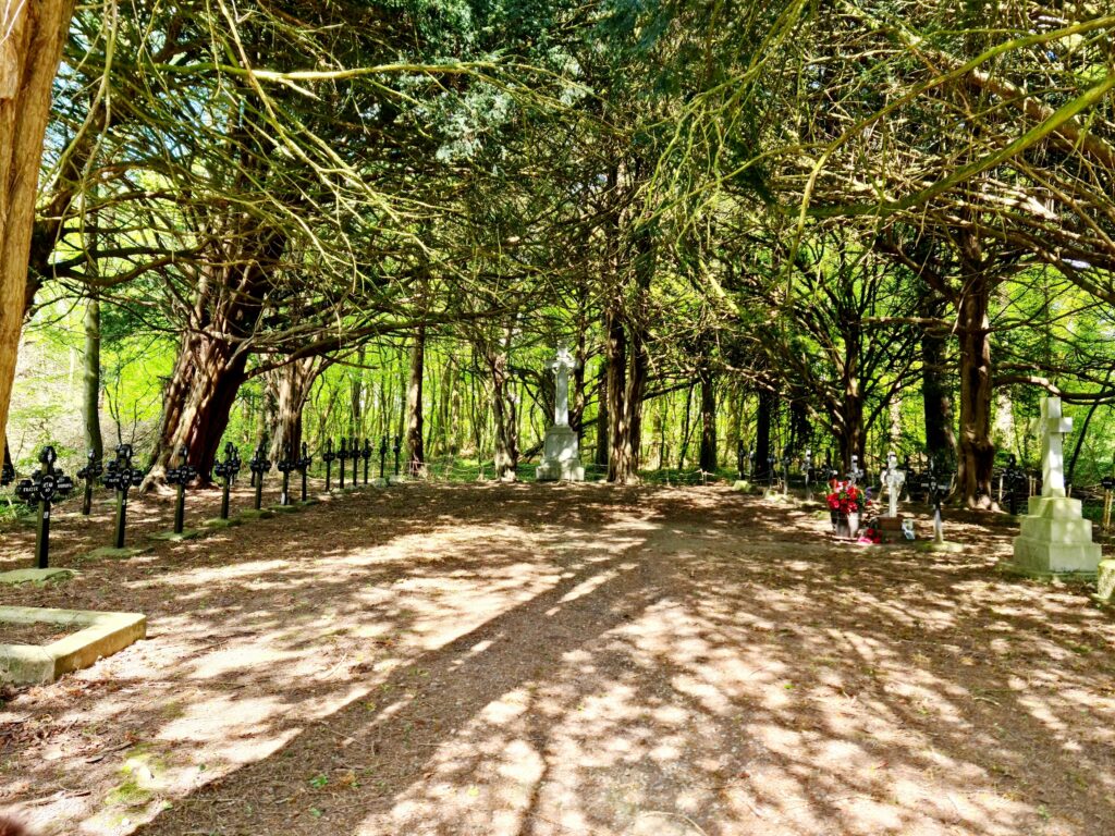 A clearing with iron crosses for gravemarkers on either side. The sun shining through the trees creates a pattern on the ground. One grave to the right has red flowers. 