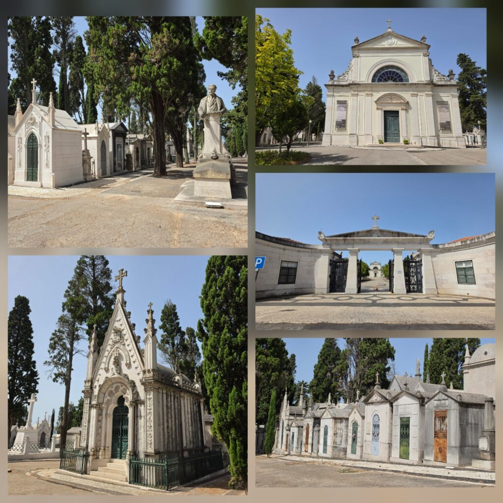Collage of photos showing a cemetery with wide avenues lined with mausoleums with colourful doors.