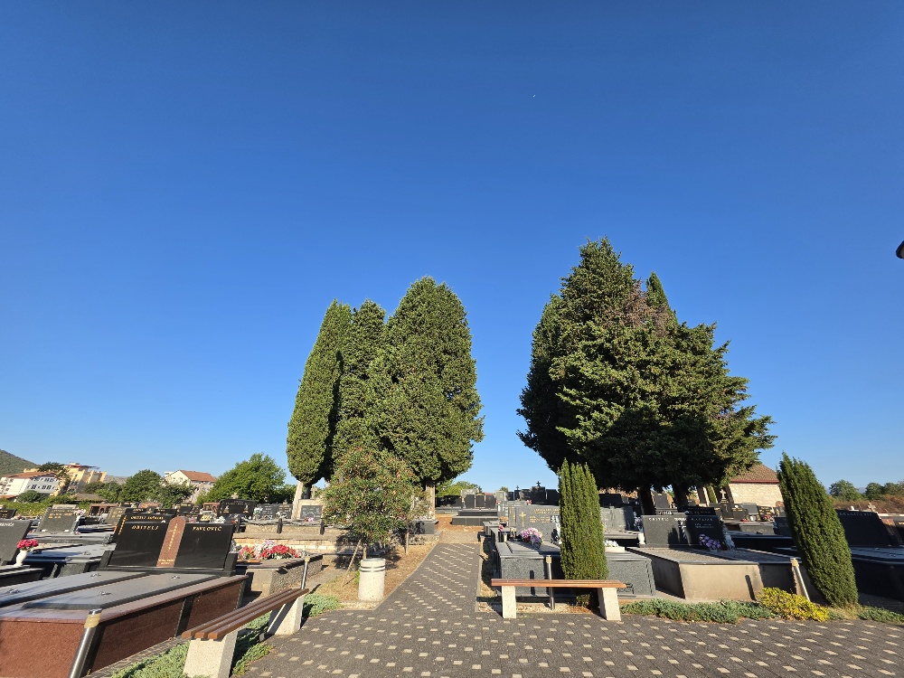 A wide view of a landscaped cemetery with numerous stone graves, paved walkways, benches, flowering plants, and tall cypress trees beneath a clear blue sky.